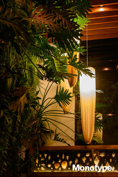 monotype_and_friends_in_são_paulo_event_in_2025_img30